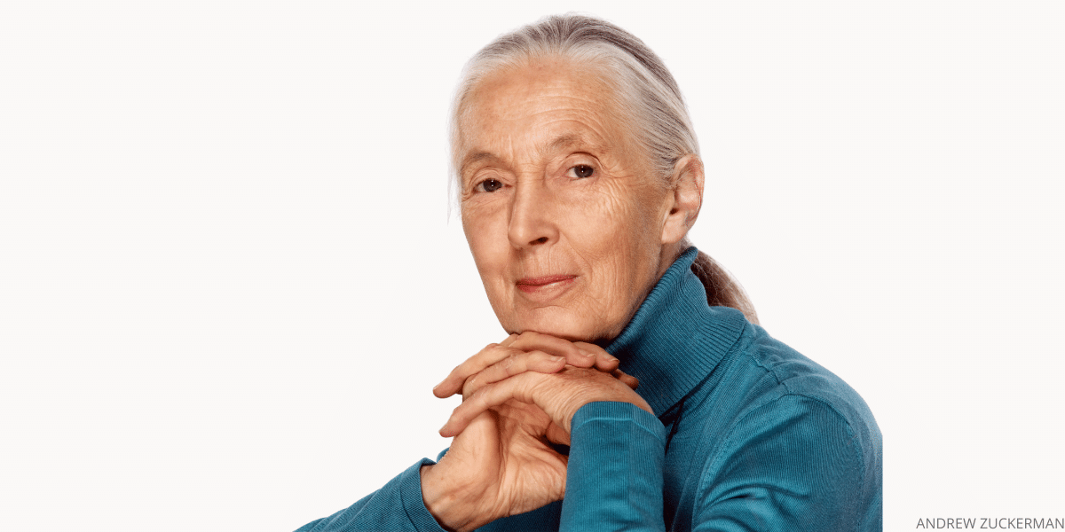 What it Takes to Make History—with Dr. Jane Goodall MA Conference for